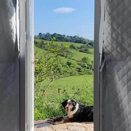 Luxe tent Glamping Quintana
