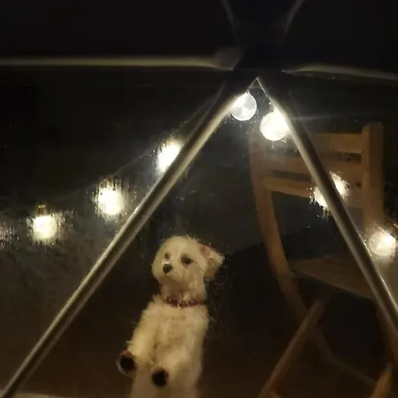 Роскошный шатер Glamping Quintana