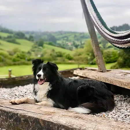 Glamping Quintana Роскошный шатер