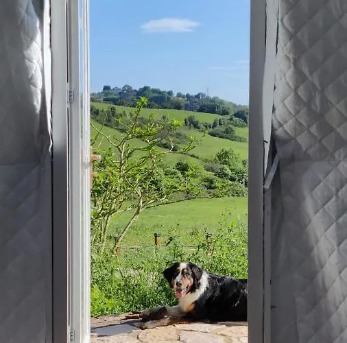 Luxury tent Glamping Quintana