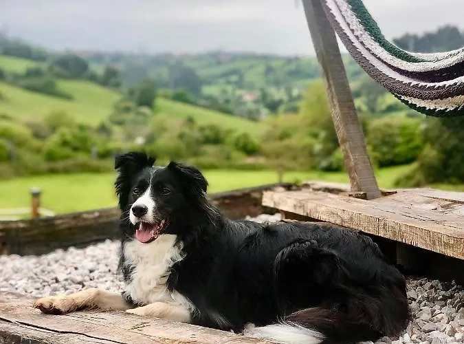 Glamping Quintana Luxury tent