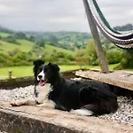 Glamping Quintana Luxury tent
